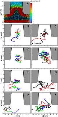 Two-dimensional particle-in-cell simulation of electron heating effect in multiple hollow cathode trenches with curved boundary